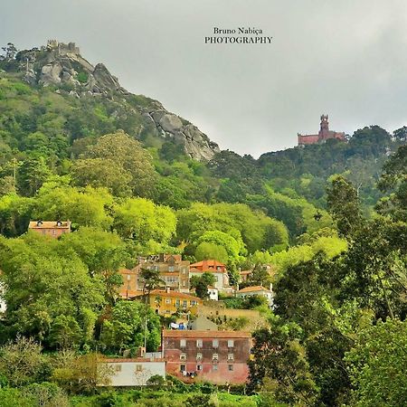 Casas Do Patio Sem Cantigas 4 シントラ エクステリア 写真